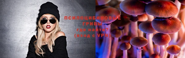 прущая мука Богородицк