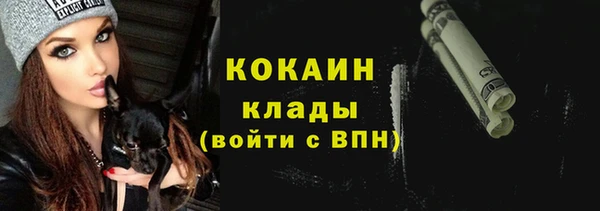 прущая мука Богородицк
